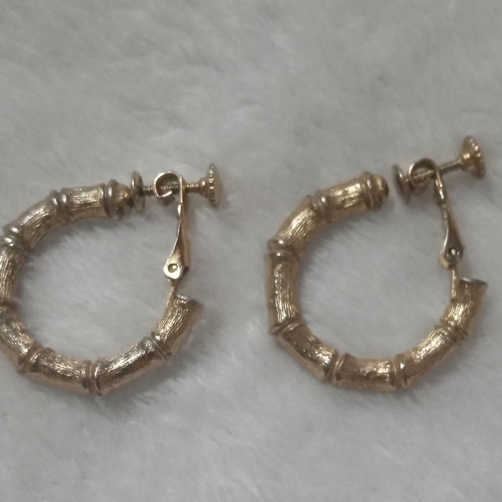 Elegant Gold Hoop Earrings